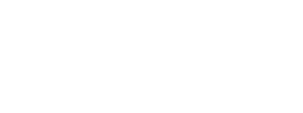 OUR
COMPANY