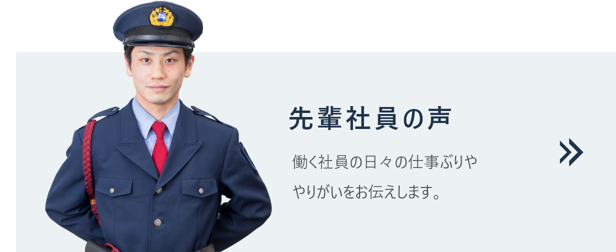 先輩社員の声